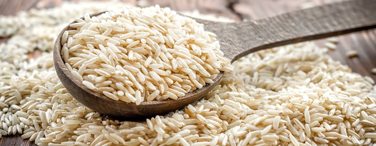 Reismilch - Reismilch - Powerdrink für Sportler, Veganer und Allergiker
