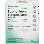 euphorbium compositum ampullen 150x150 - Wolfsmilch – giftig, aber nützlich