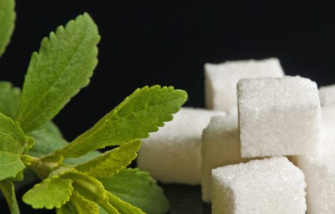 Als Zuckerersatz eignet sich Stevia